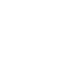 nexsys