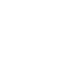 tao-mexico